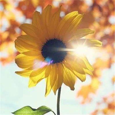 best365官网手机版